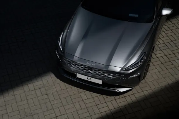 Casombie Casino Android/iOS Forrit