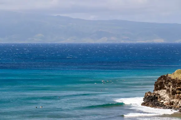 Casombie Casino Stuðningur